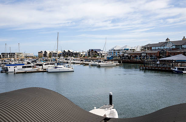 Busy marina featuring numerous white yachts and boats moored along wooden piers, modern waterfront buildings.