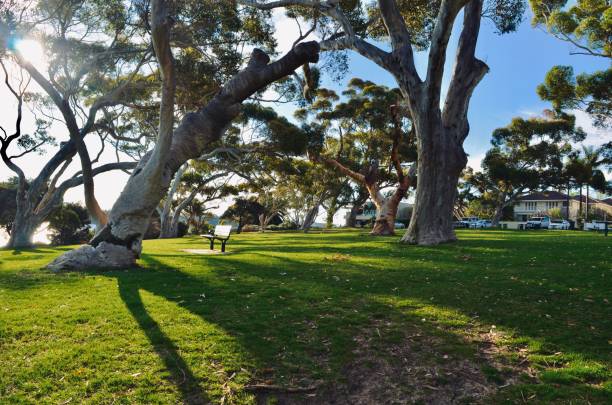 Perth is the capital of Western Australia and is the 4th largest city in Australia.
