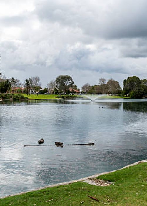 Calm lake with swimming ducks and a central fountain, lined by palm trees, lawns and a gazebo under a cloudy sky at Brampton Park in Butler, Western Australia