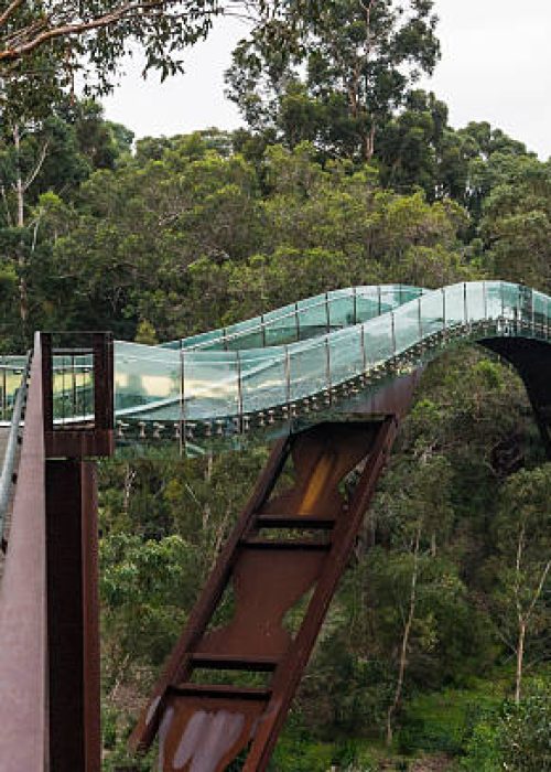Foot bridge running through the treetops in Park, Perth, Australia.