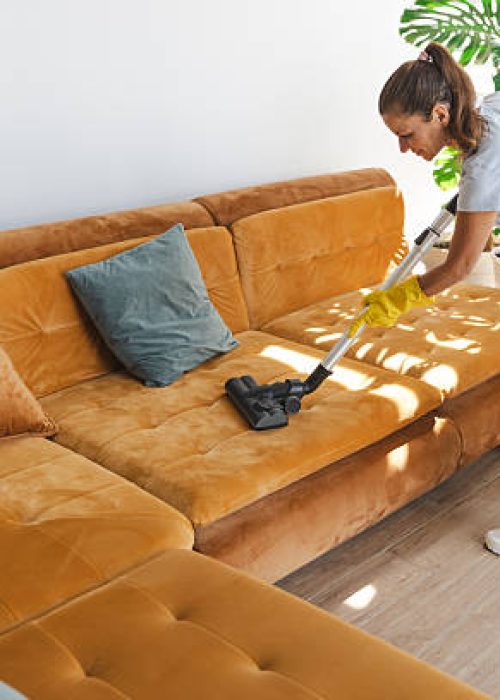 A focused cleaning moment where a woman vacuums a plush orange leather sofa in a bright, airy living room with plants and natural light, conveying cleanliness, home care, and comfort.