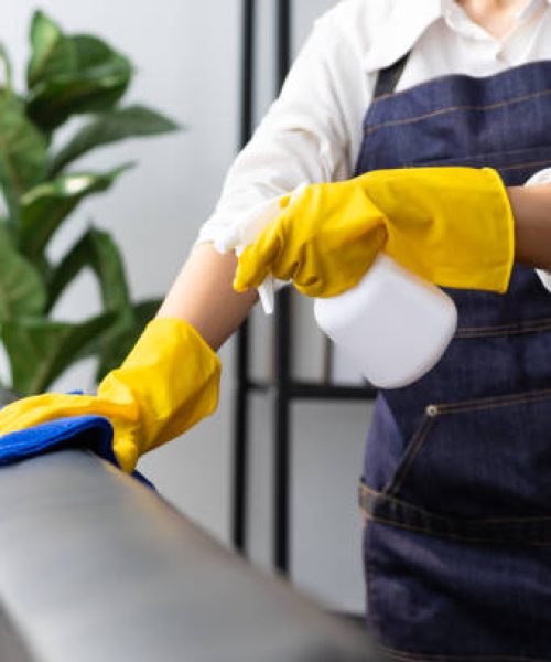 A house cleaner wearing an apron uses a cloth to clean the sofa in the house. Wipe dust from the house.