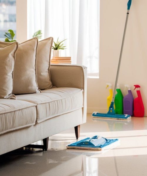 Professionally cleaned services