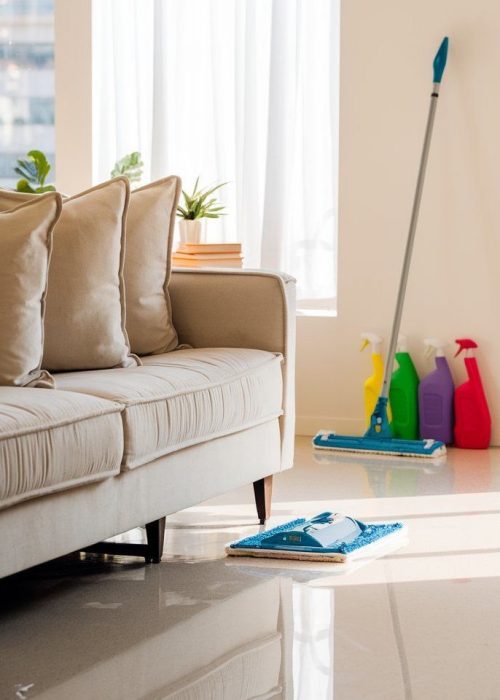 Professionally cleaned services
