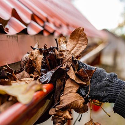 A gloved hand clears the gutter of a red tile roof of fall leaves, preventing clogs and water damage.