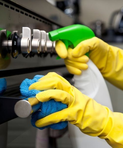Professional Oven Cleaning in Perth