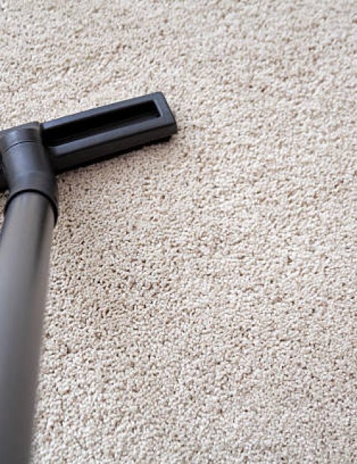 Vacuum cleaner nozzle on carpet