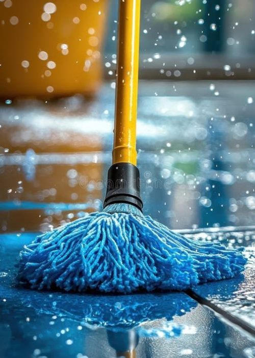 Get professional move out cleaning services in Perth