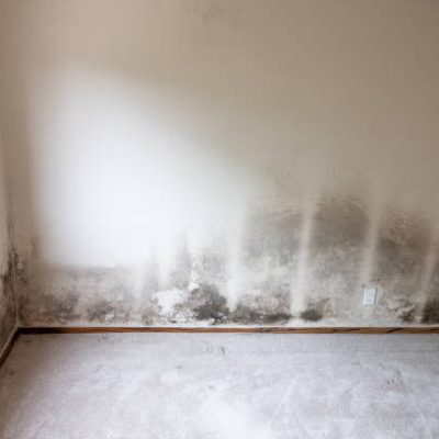 Stock photo of mold and mildew damage from a leaking roof.