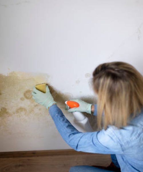 pretty blonde woman with mouth nose mask cleans mold from dirty apartment wall